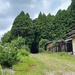 1000026926 path