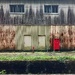 1000026927 doors