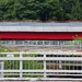1000026911 red