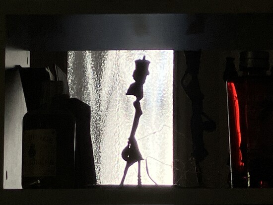 Silhouette  by vincent24