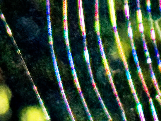 spidery spectrum by sidpixel