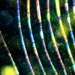 spidery spectrum