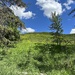 Hillside