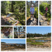 Day 14, 2026, Maine Adventure 