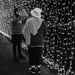 Photo in the fairy lights 
