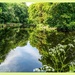 Reflections On The River Wansbeck