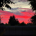 Sunset Last Night