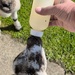 Feeding time 