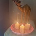 Candlelit Camel