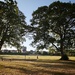 Evening sun on St. Mary's Recreation Park 