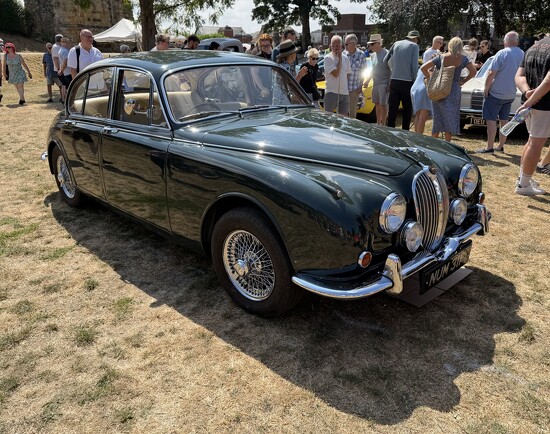 Old Jaguar  by jeremyccc