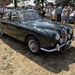Old Jaguar 