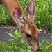 I’m all ears.