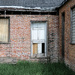 Still Standing 