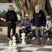 Playing chess in Hyde Park, Sydney