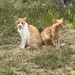 14-iulie-IMG_7833