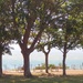 Shade on the Cliff