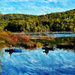 Kayaking and fishing