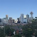 365project_downtown