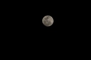 10th Feb 2011 - mr. moon