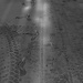 Dust collects and captures