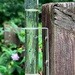 Yesterday morning's rain gauge...