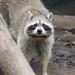 I See You