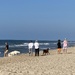 Dog time on the beach on Long Island, NY