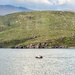 Boat. 
