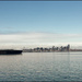 Finding my peace where the city meets the shoreline