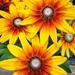 Bright and cheery