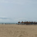 The beach this morning 