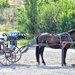 Amish Transportation 