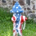 "Patriot Yell" by Steve Eberhardt 