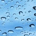 After the rain