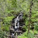 Small waterfalls. 