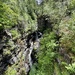 Correshalloch Gorge from the bridge. 