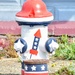 "Rockets Red Glare" by Rita Roethlisberger