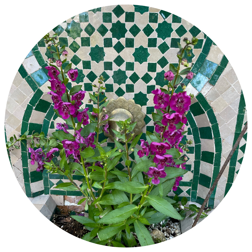Repurposed Fountain  by jane80