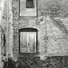 Windows Out Back
