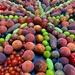 Vegetable And Fruit Display At The County Fair