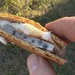 Smores