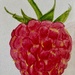 Raspberry
