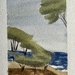 WWCM D18 Cypress Trees 