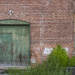Green Door