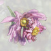 Such an unusual and beautiful bloom,