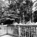 To the right of the deck...