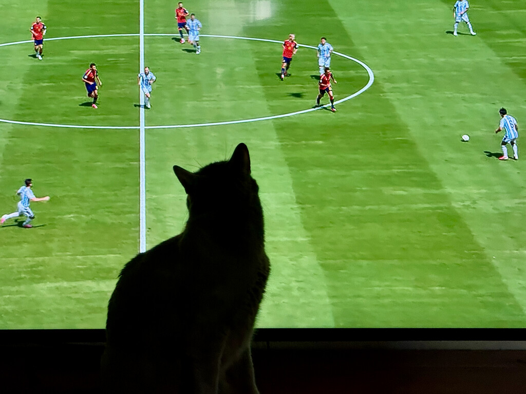 Elijah enjoying the World Cup by eudora