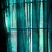 I love the filtered light through my green sheers...