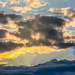 Evening Light
